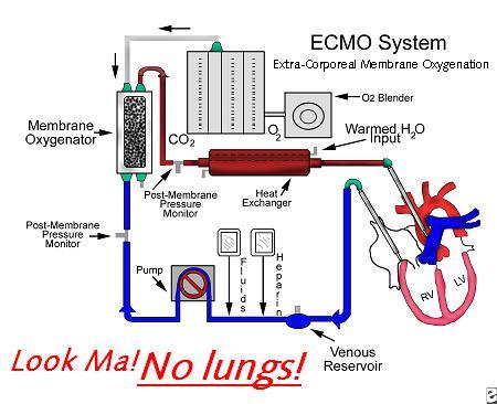 smoking lungs diagram. NO LUNGS!